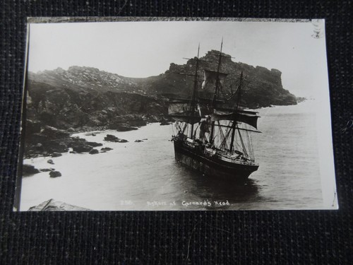 Ashore gurnards head photo - gurnards,